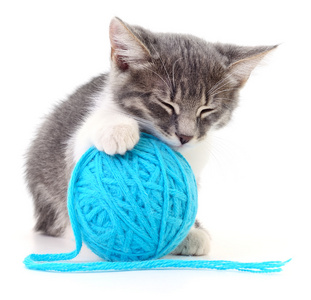 猫猫可以玩的手机游戏_小猫能玩手机游戏嘛_小猫能玩的手机游戏