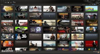 steam国产独立游戏,国产独立游戏在Steam的崛起与挑战