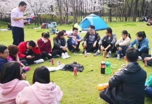 椿之歌游戏下载 