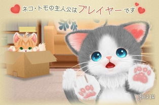 贪玩猫游戏交易最新版下载v1.1.0 