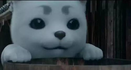 关你鸟事 