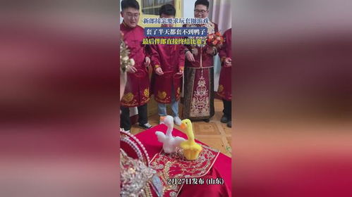 奇怪的鸭子游戏 