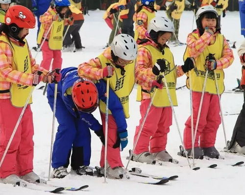 小学必背古诗词 