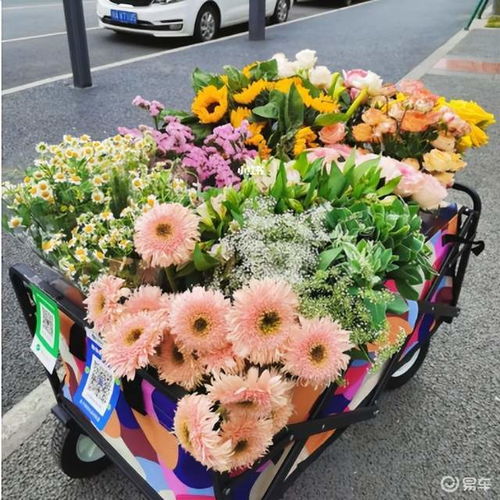 外卖花店红包版最新2024下载 