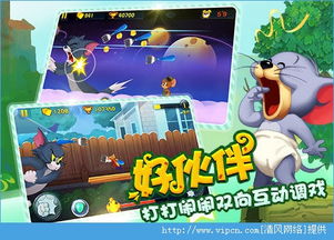 小老鼠别跑 