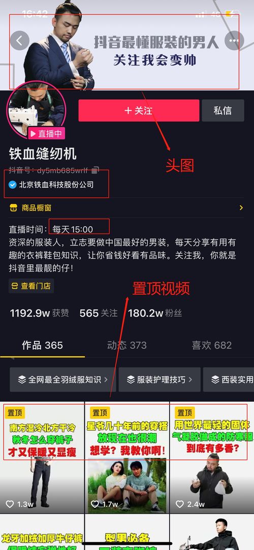 定制虚拟偶像内置人设版 