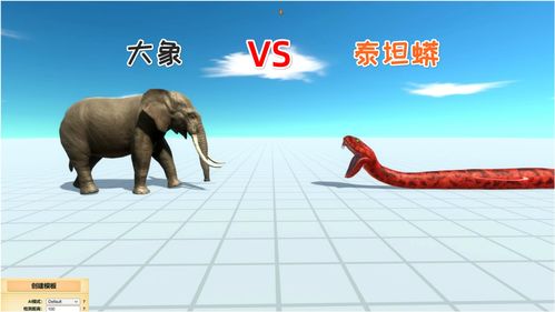 美国zoom动物游戏最新版 