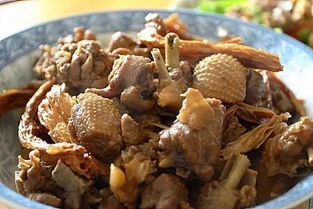 厨管家菜谱官方版APP下载1.0 