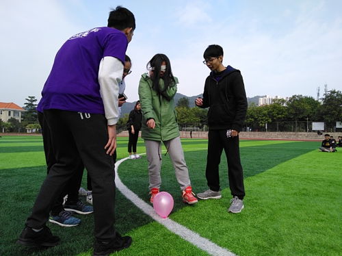 飞扬的小鸟安卓下载 