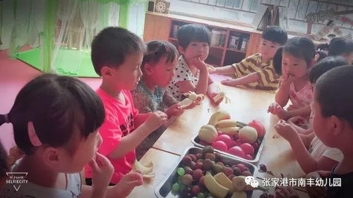 趣味猫主题游乐园手游中文版下载 
