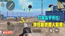 和平精英游戏下载安装正版官方版 