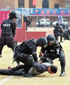 方块警察捉强盗 