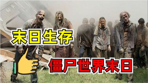 极乐视频免费观看视频 