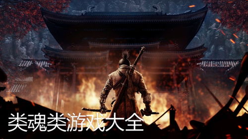 人类游乐场4 