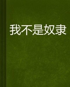 只是游乐场 