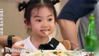 小杨杨账本 