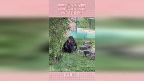 我要做游戏 