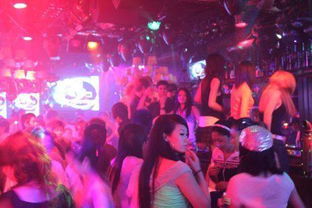 夜猫圈酒吧 [][][] 下载app 