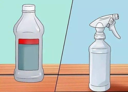 泡泡大作战游戏手机游戏 