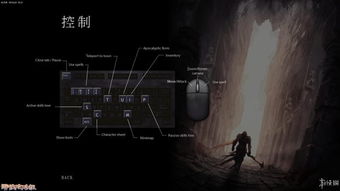 汽车迷游戏破解版中文 